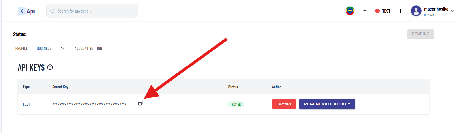 KisPay Business Info